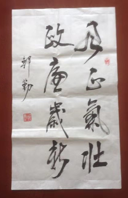 郭勤老师作品