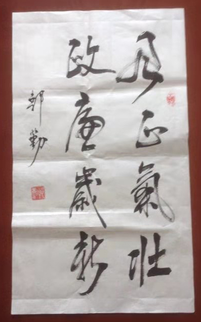 郭勤老师作品