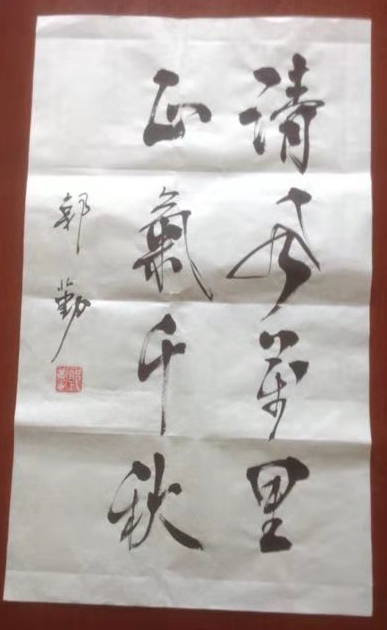 郭勤老师作品