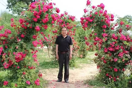 李永丰_书画家百科|艺术名人堂|最权威的书画家查询平台